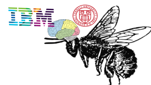BeeBrain